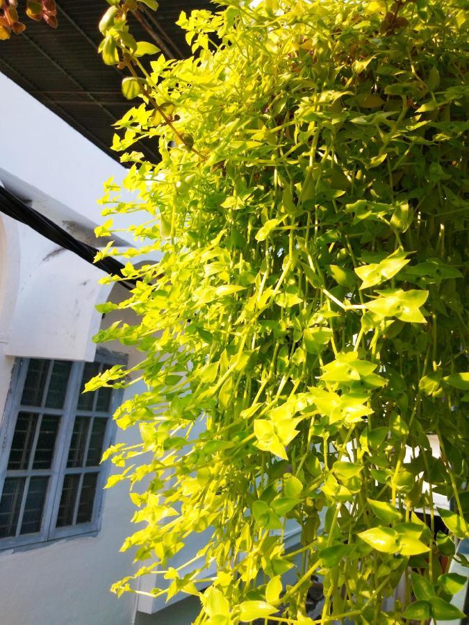 Heather Home Stay Kochi Екстериор снимка